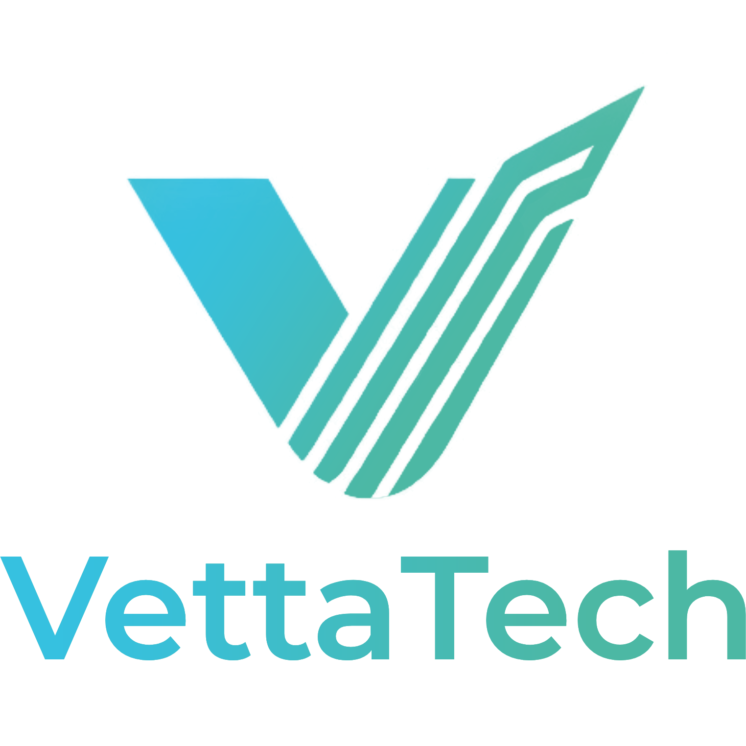 VettaTech